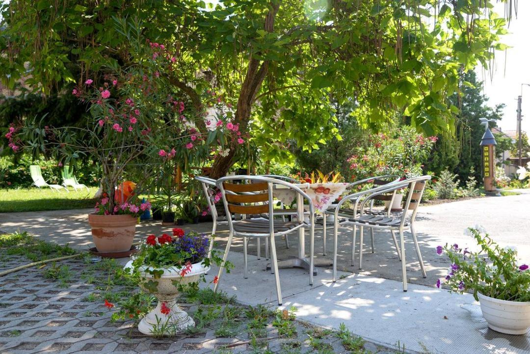 Harang Panzio Bed & Breakfast Gyomaendrőd Dış mekan fotoğraf